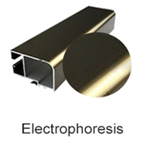 electrophoresis
